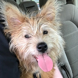 Meet your Posher, Colton